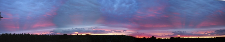 Banner profilu