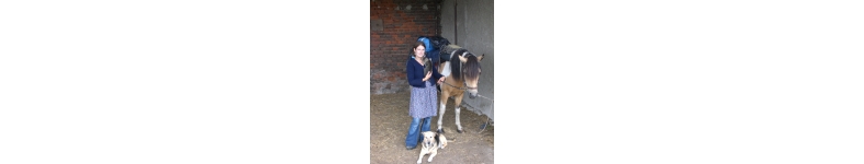 Banner profilu