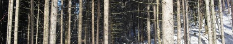 Banner profilu