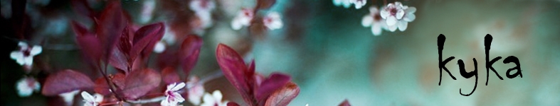 Banner profilu