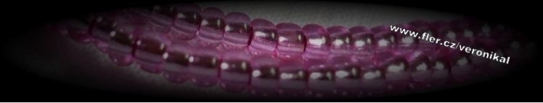 Banner profilu