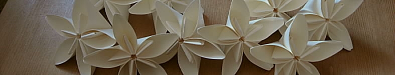 Banner profilu