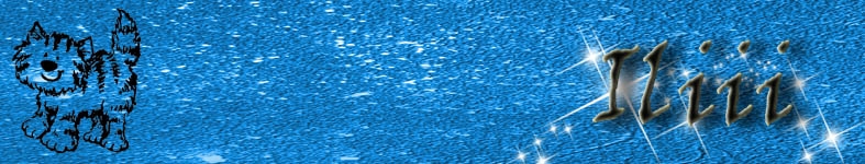 Banner profilu