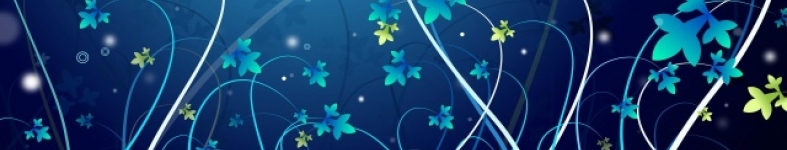 Banner profilu