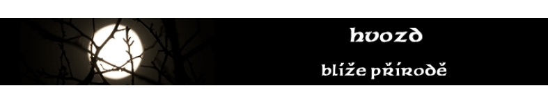 Banner profilu