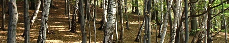 Banner profilu