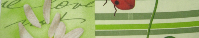 Banner profilu