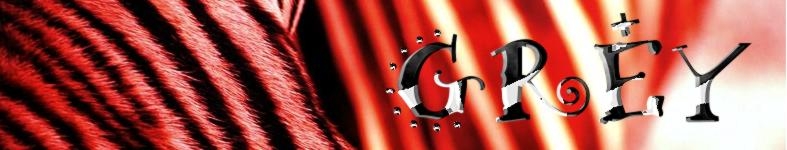 Banner profilu