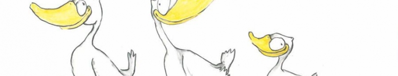 Banner profilu