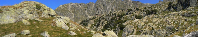 Banner profilu