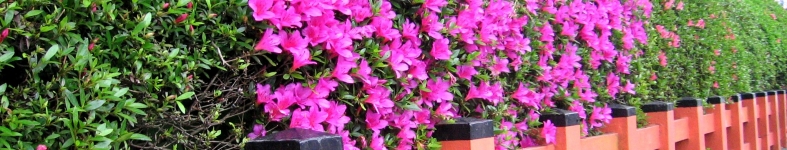 Banner profilu