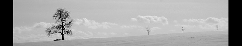 Banner profilu