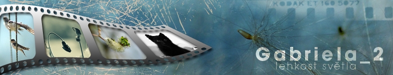 Banner profilu