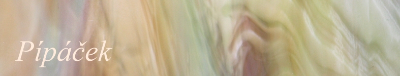 Banner profilu