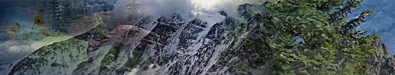 Banner profilu