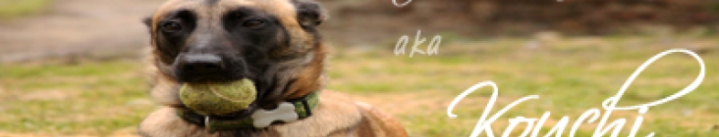 Banner profilu