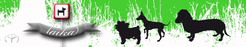 Banner profilu