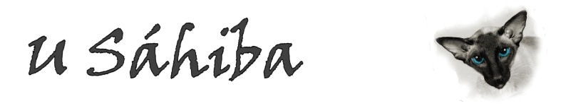 Banner profilu