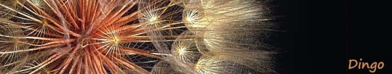 Banner profilu
