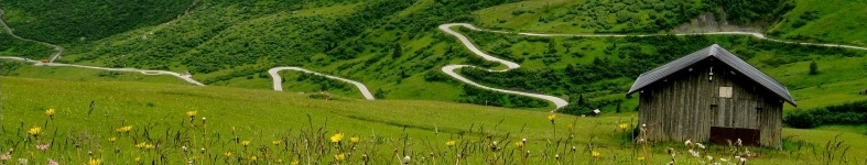 Banner profilu
