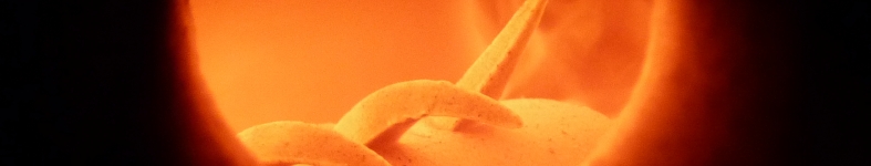 Banner profilu