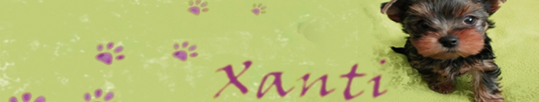 Banner profilu