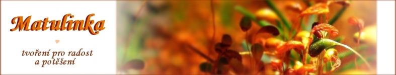 Banner profilu