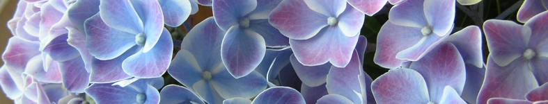 Banner profilu