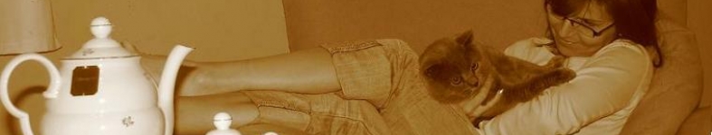 Banner profilu