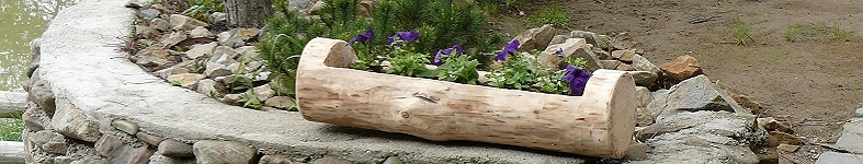 Banner profilu