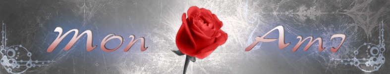 Banner profilu