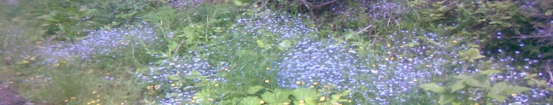 Banner profilu