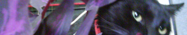 Banner profilu
