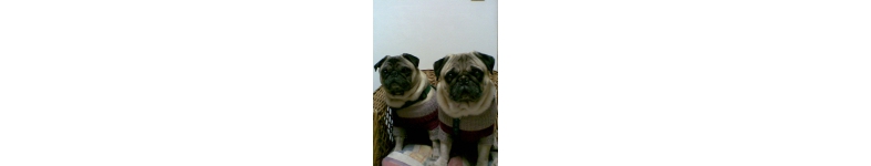 Banner profilu