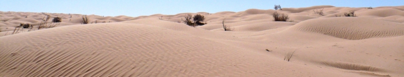 Banner profilu