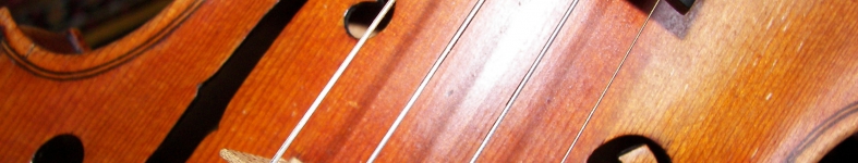 Banner profilu