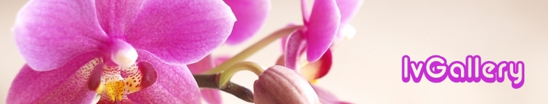 Banner profilu