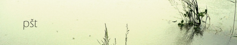 Banner profilu