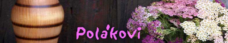 Banner profilu