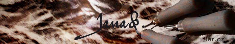 Banner profilu