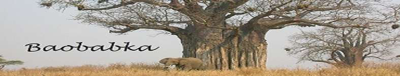 Banner profilu