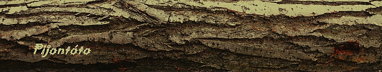 Banner profilu