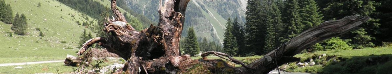 Banner profilu
