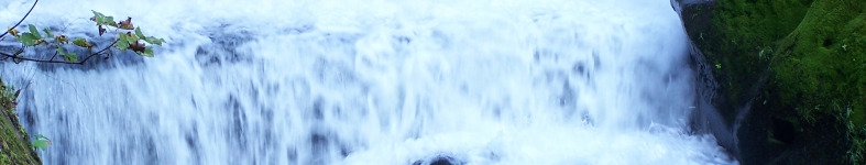 Banner profilu