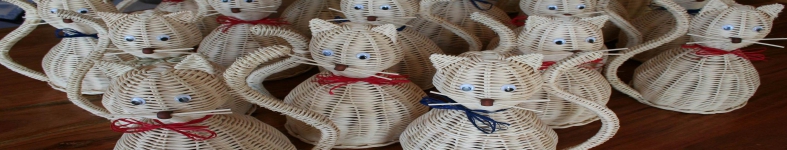 Banner profilu