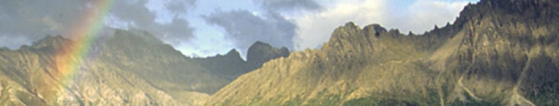 Banner profilu