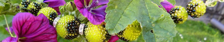 Banner profilu