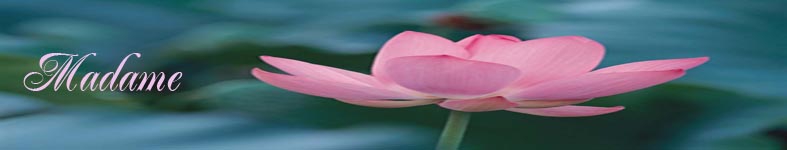 Banner profilu