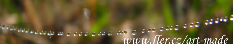 Banner profilu