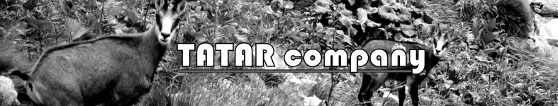 Banner profilu